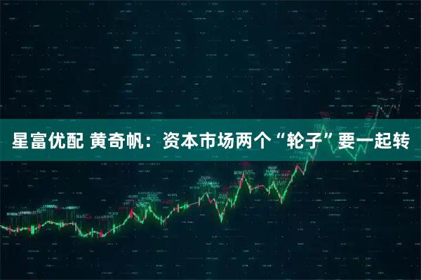 星富优配 黄奇帆：资本市场两个“轮子”要一起转