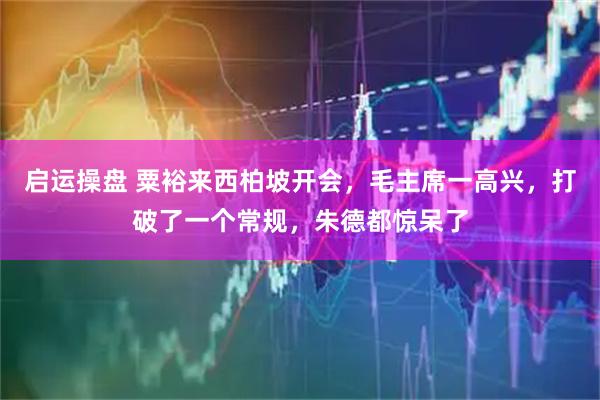 启运操盘 粟裕来西柏坡开会，毛主席一高兴，打破了一个常规，朱德都惊呆了